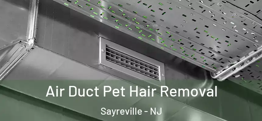 Air Duct Pet Hair Removal Sayreville - NJ