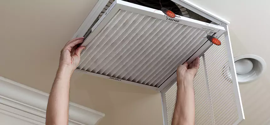 Preventive Cockroach-Proofing for Ducts in Sayreville