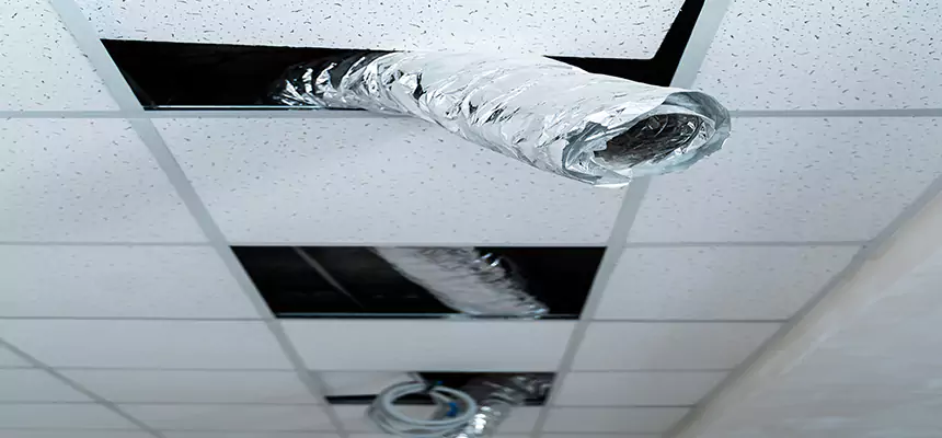 Our Air Duct Pet Hair Removal Services in Sayreville, NJ