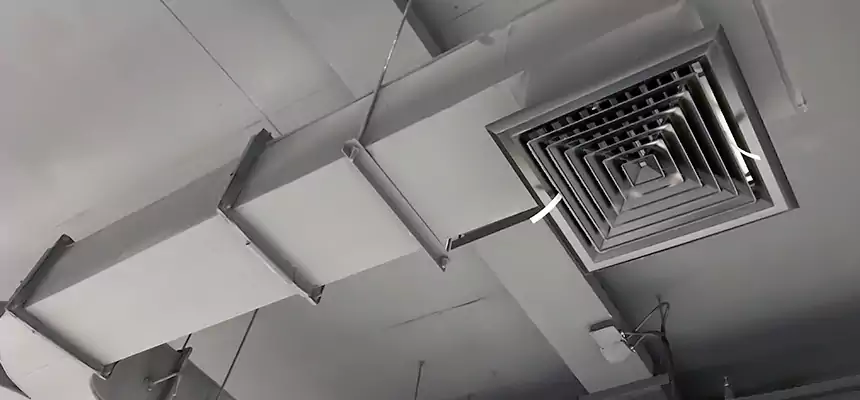 Restorative Allergy Relief Vent Cleaning – Coil, Blower & Housing Detail in Sayreville