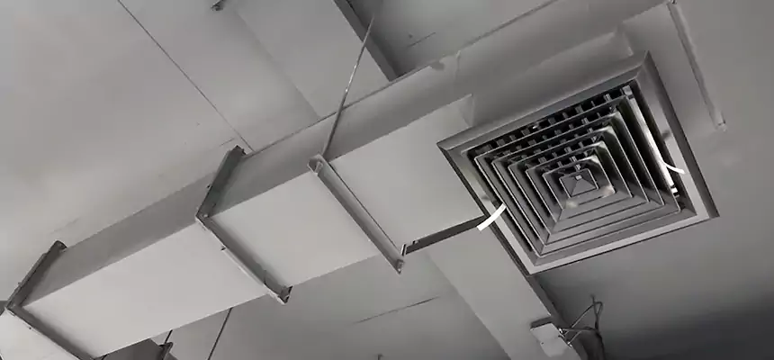 Our Rodent Droppings In Vents Services in Sayreville, NJ