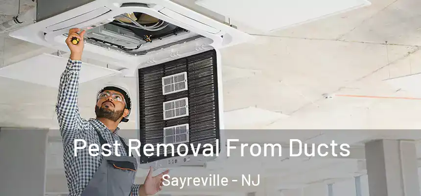 Pest Removal From Ducts Sayreville - NJ