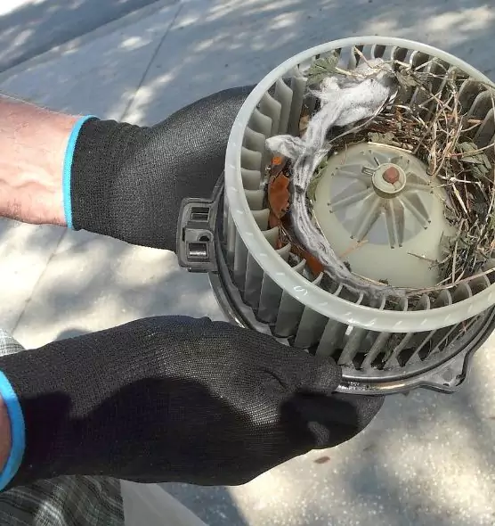 About Air Duct Rat Removal in Sayreville, NJ