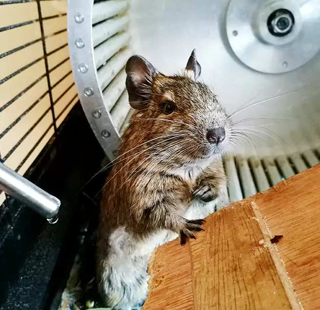 Why Homeowners & Businesses Trust Us Sayreville, NJ