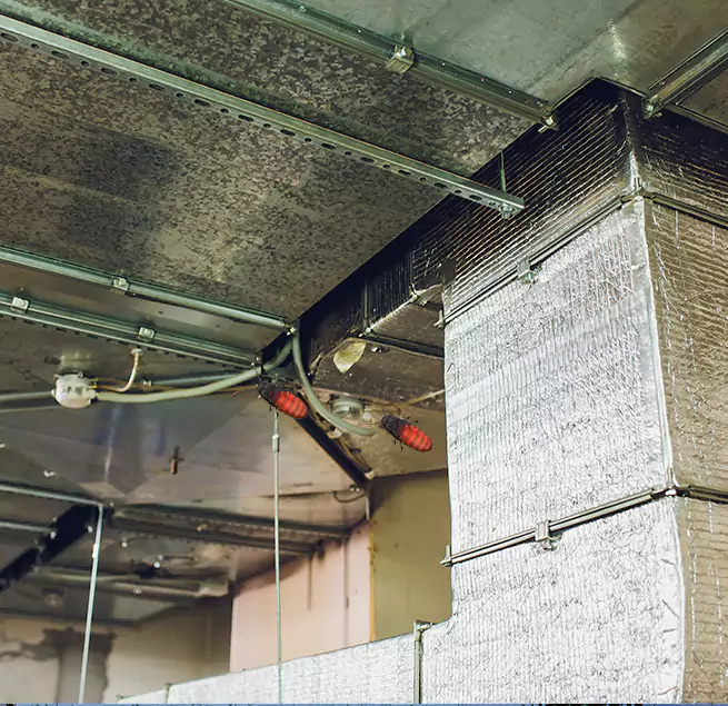 Why Homeowners & Businesses Trust Us Sayreville, NJ?