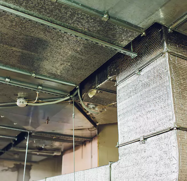 Why Homeowners & Businesses Trust Us in Sayreville, NJ?